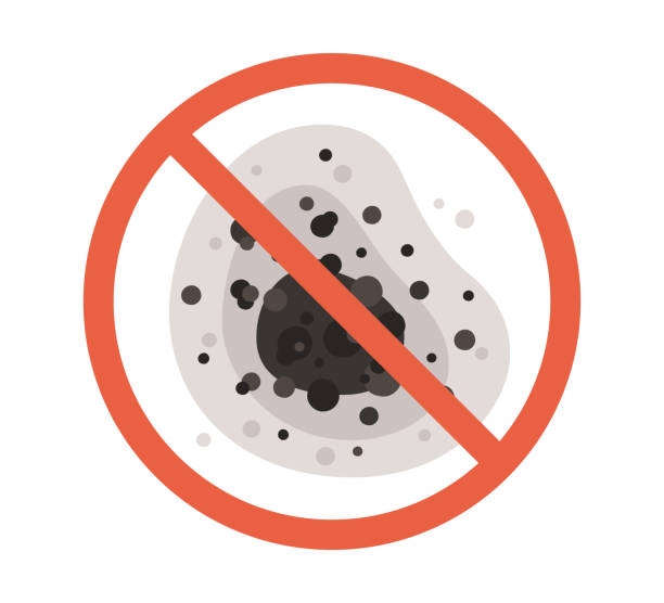 Best Airborne Mold Testing  in Sebastian, TX